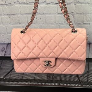 Chanel Pink Quilted Makeup VIP Bag